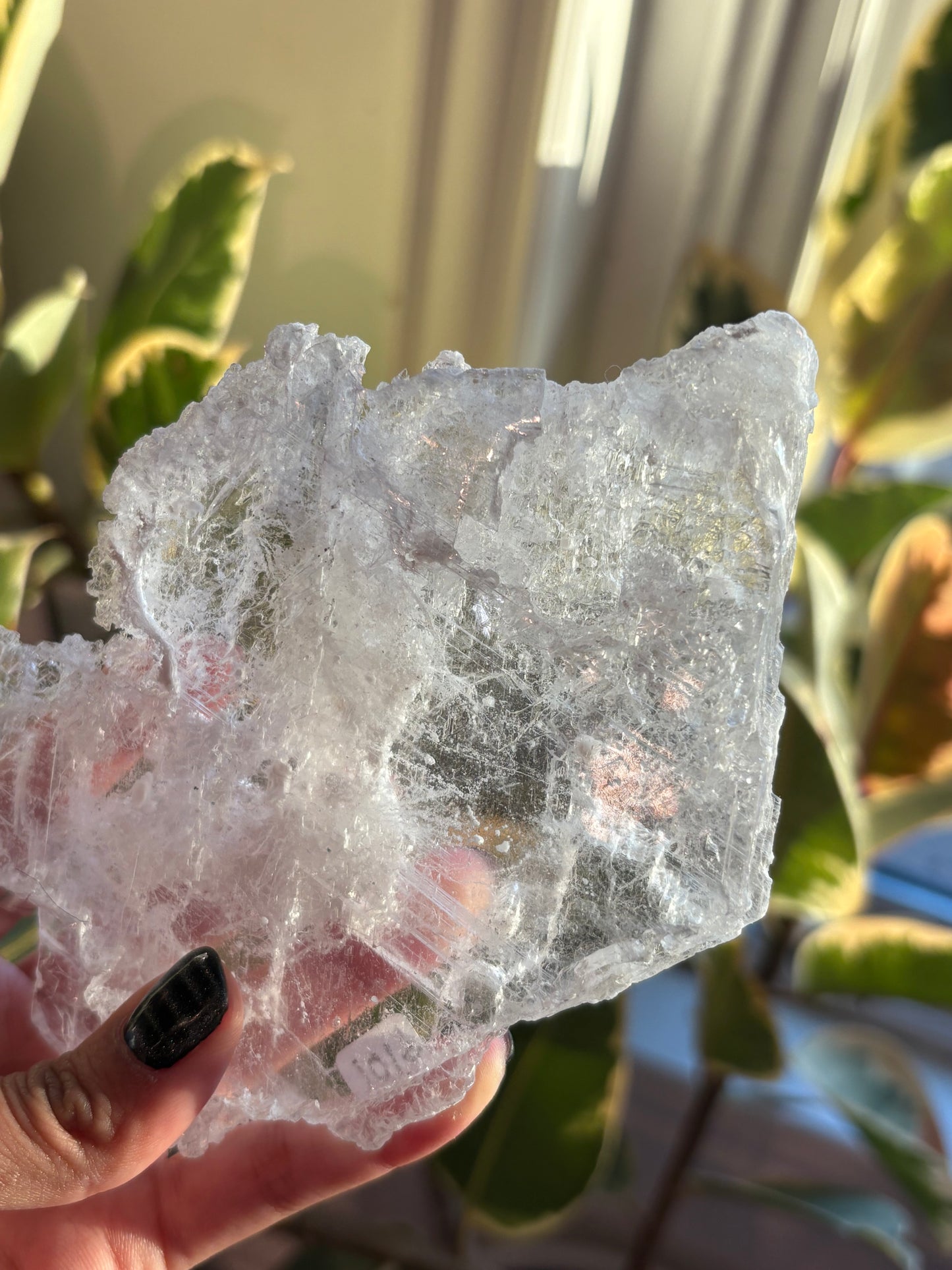 Gypsum Selenite