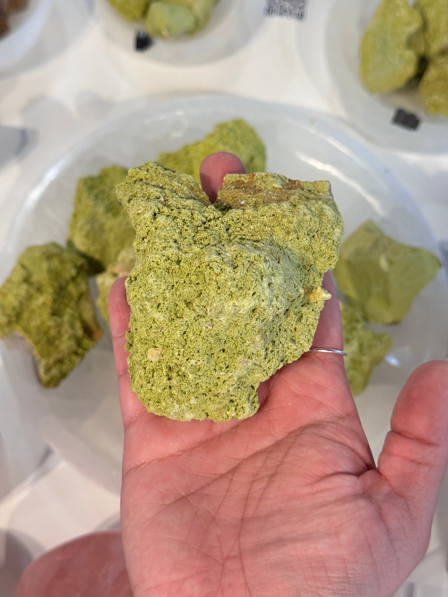 Large Nontronite chunks