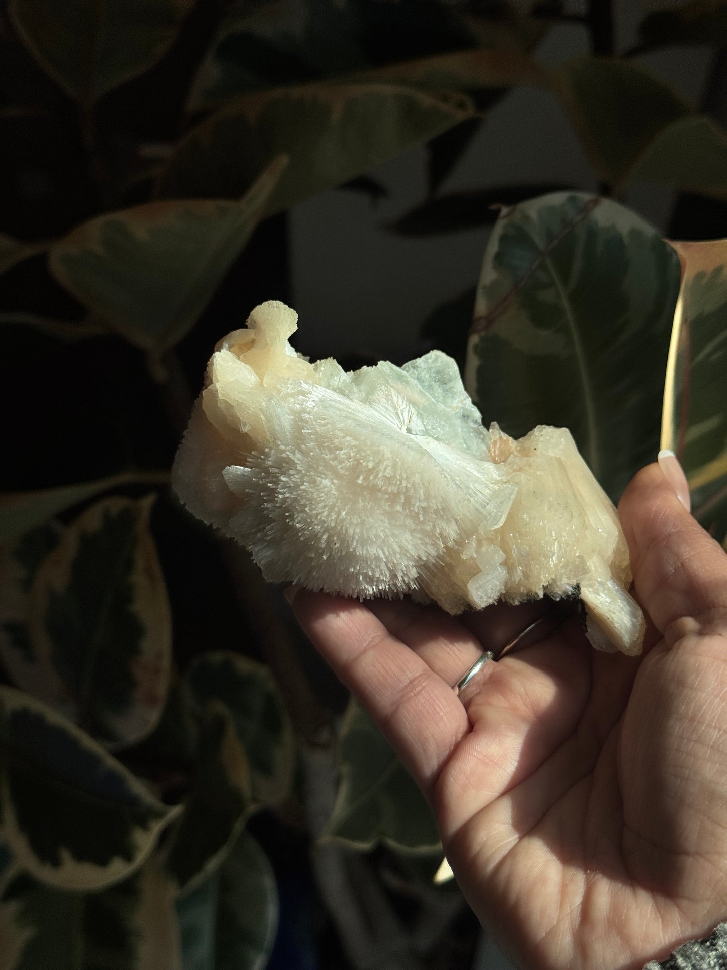 Pink Scolecite Specimen