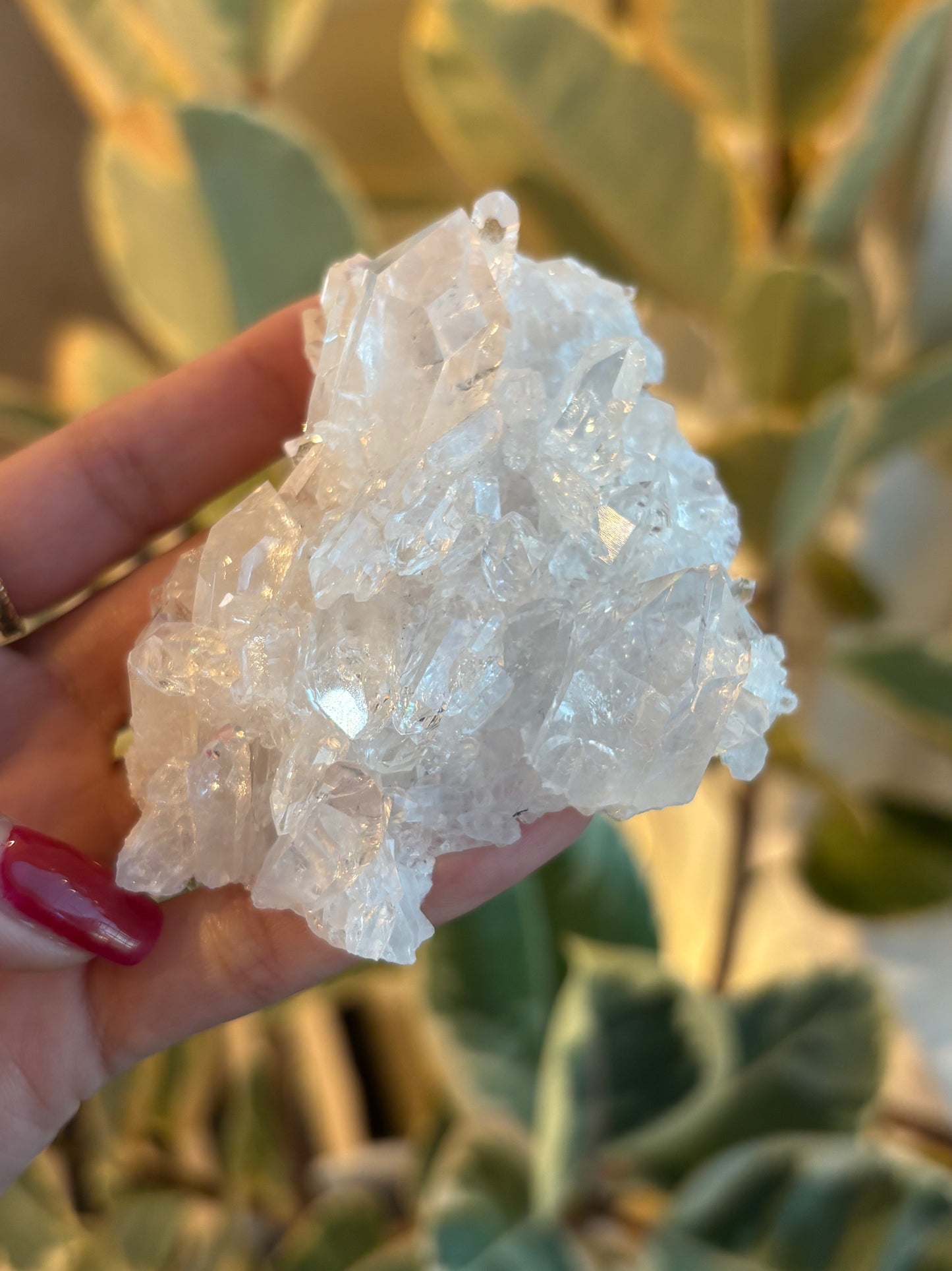 Lemurian Quartz Cluster : QC1