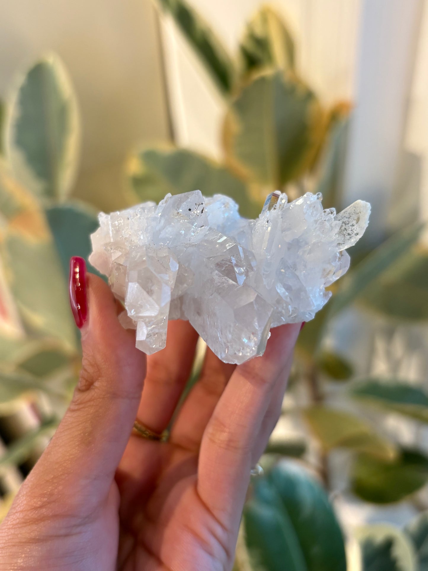 Lemurian Quartz Cluster : QC4