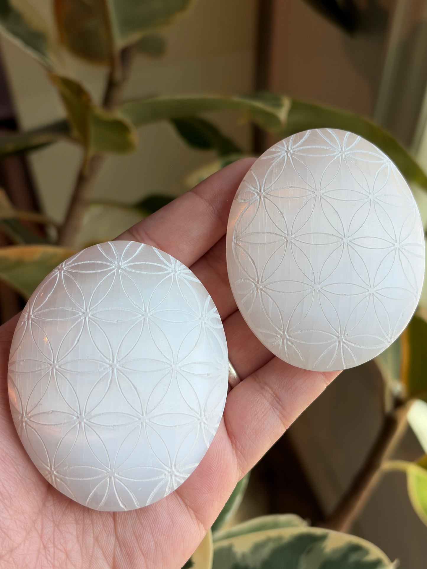 Selenite Flower Of Life Palm Stone