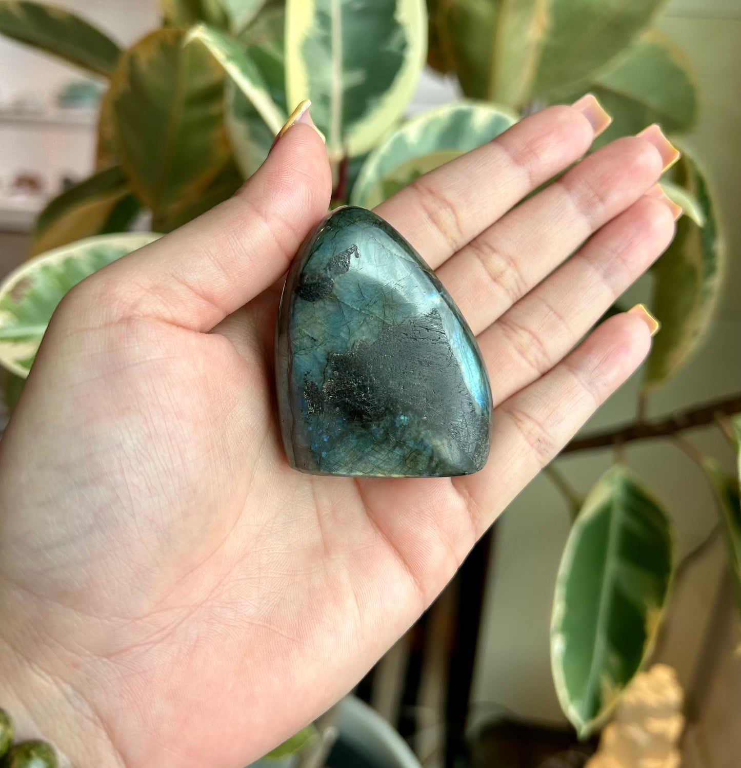 Labradorite Freeform