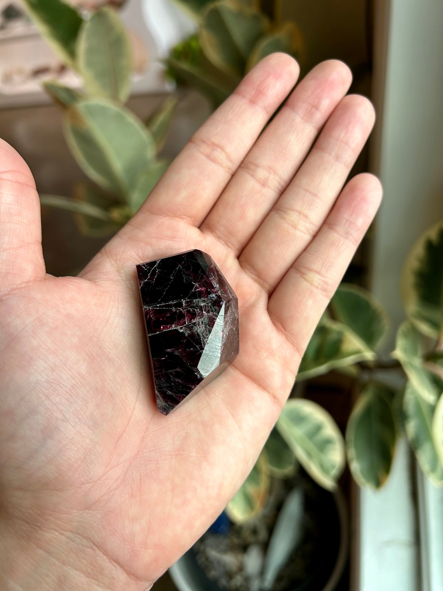 Small Polished Garnet Freeform