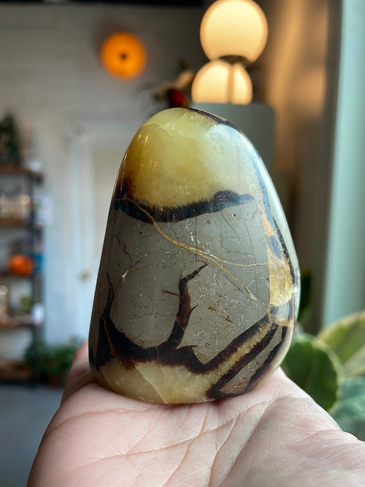 Septarian Freeform -SEP05