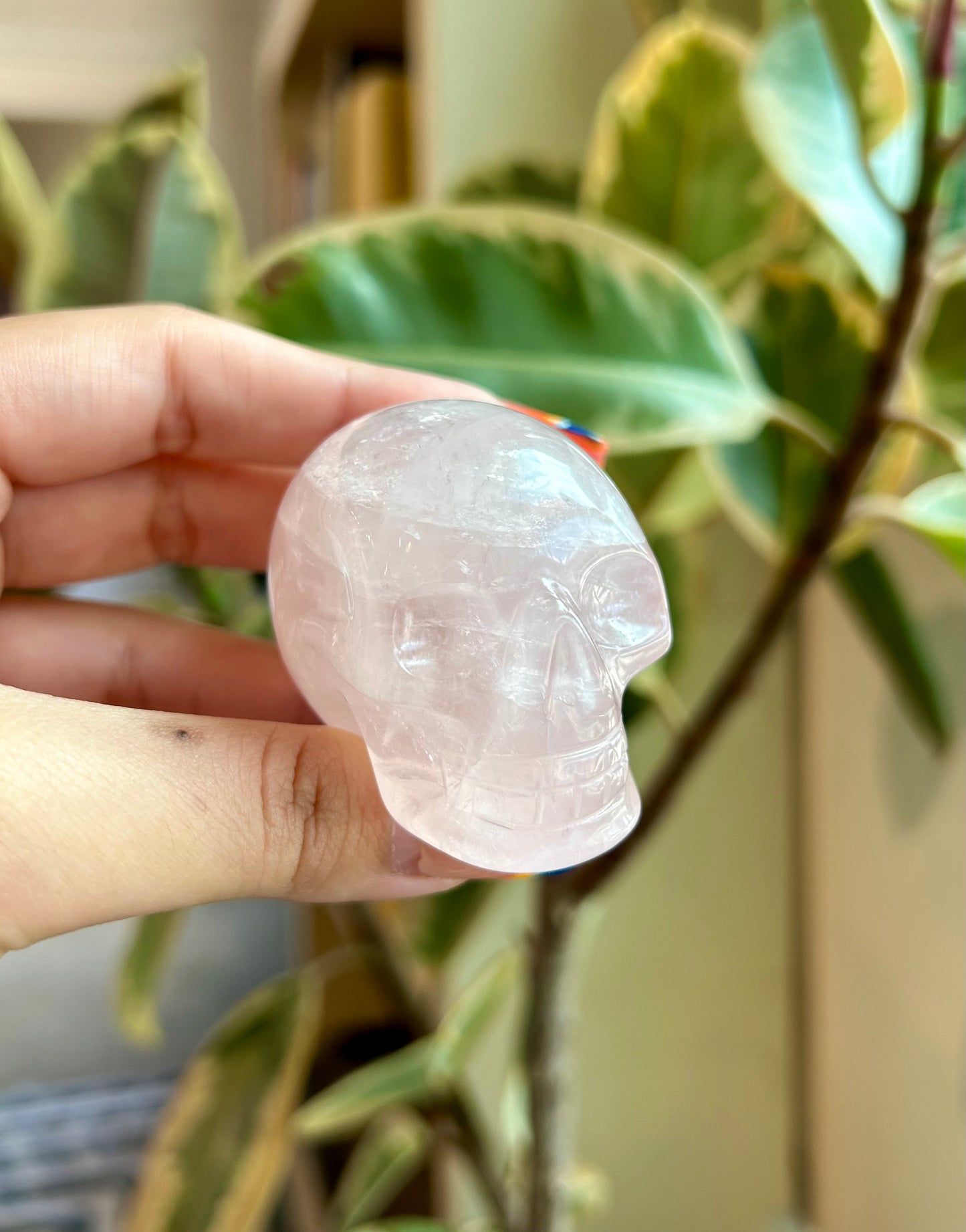 Rose Quartz Skull RQ1