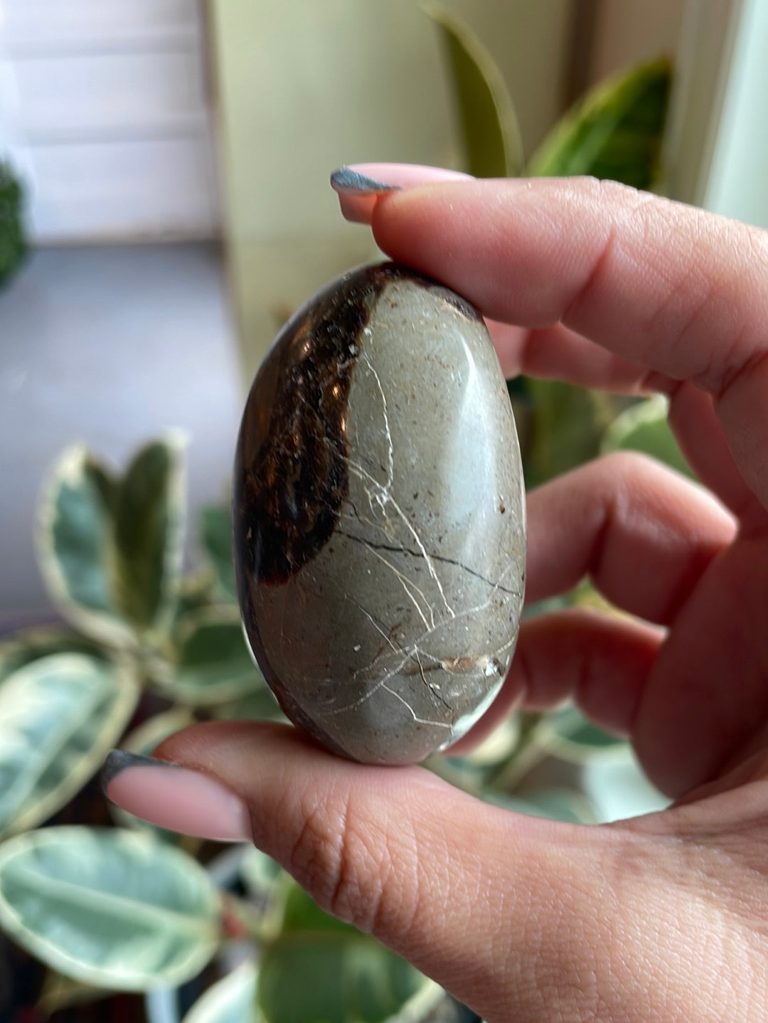 Septarian Palm Stone - EM02