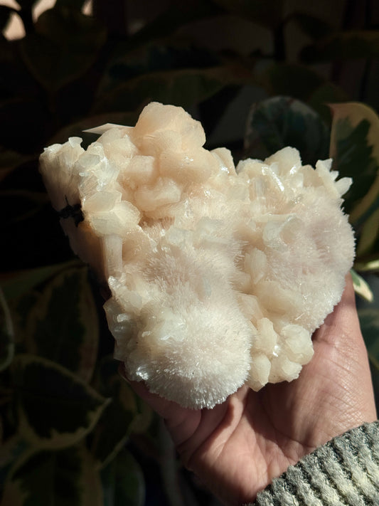 Pink Scolecite