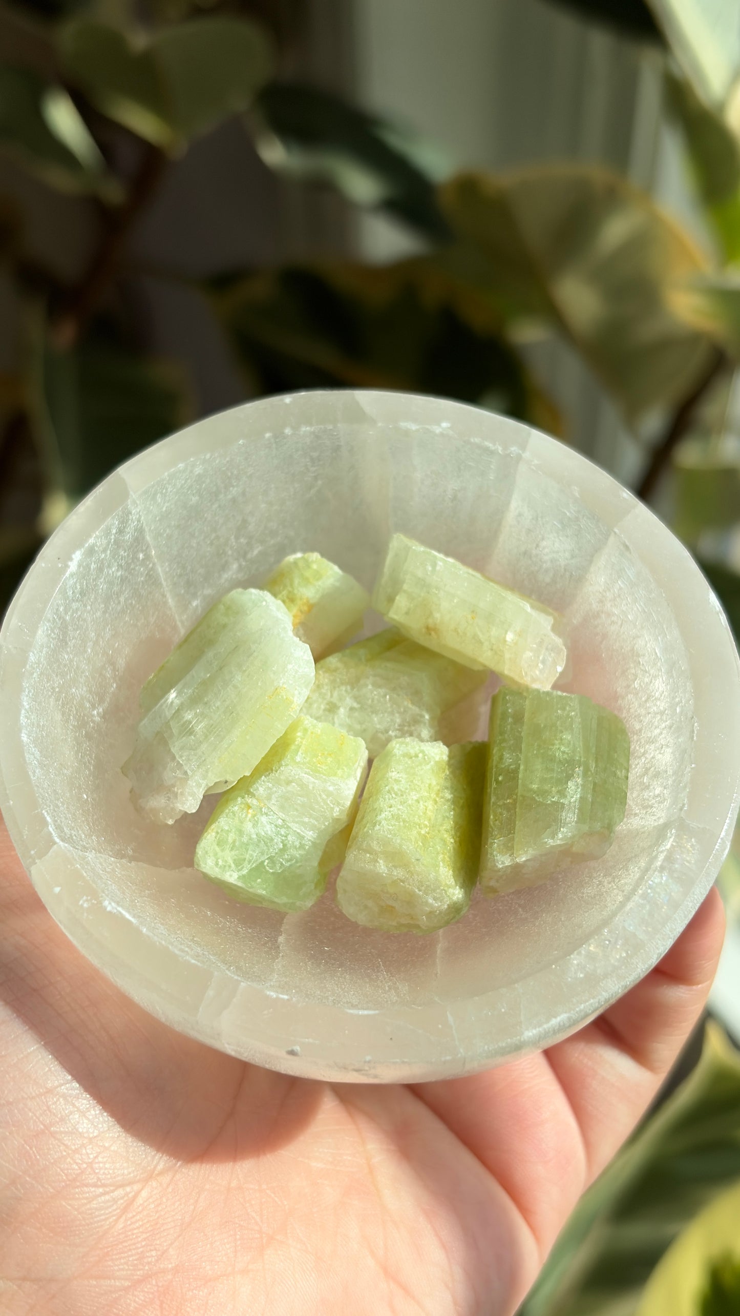 Small Rough Watermelon Tourmaline
