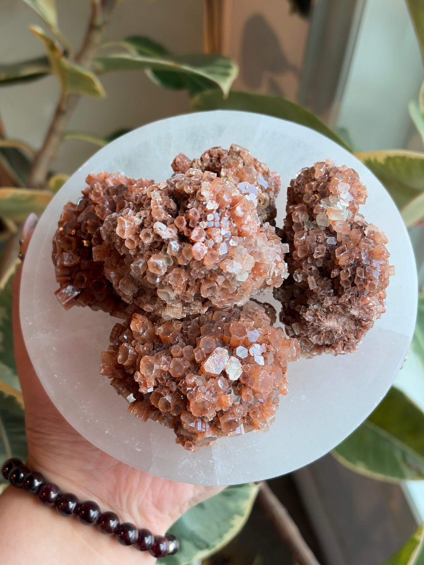Red Aragonite Large Star Burst
