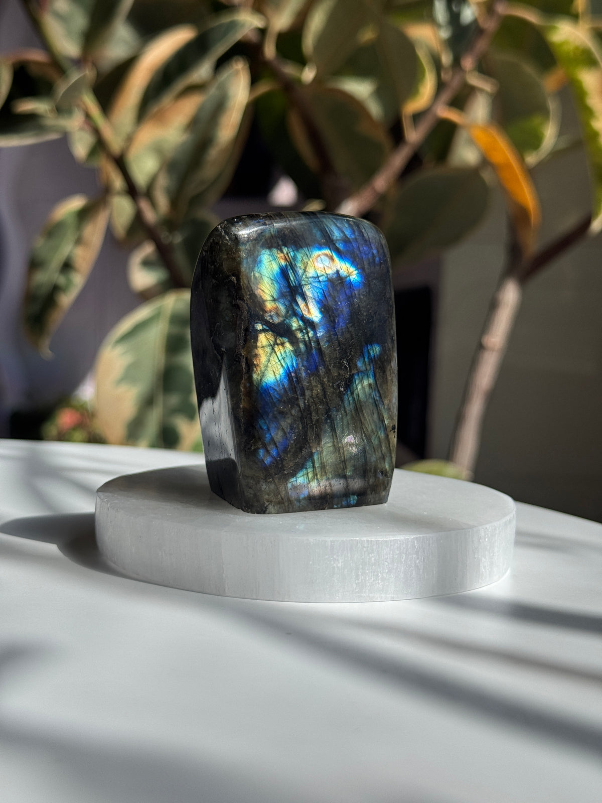 Polished Labradorite Freeform - LB7