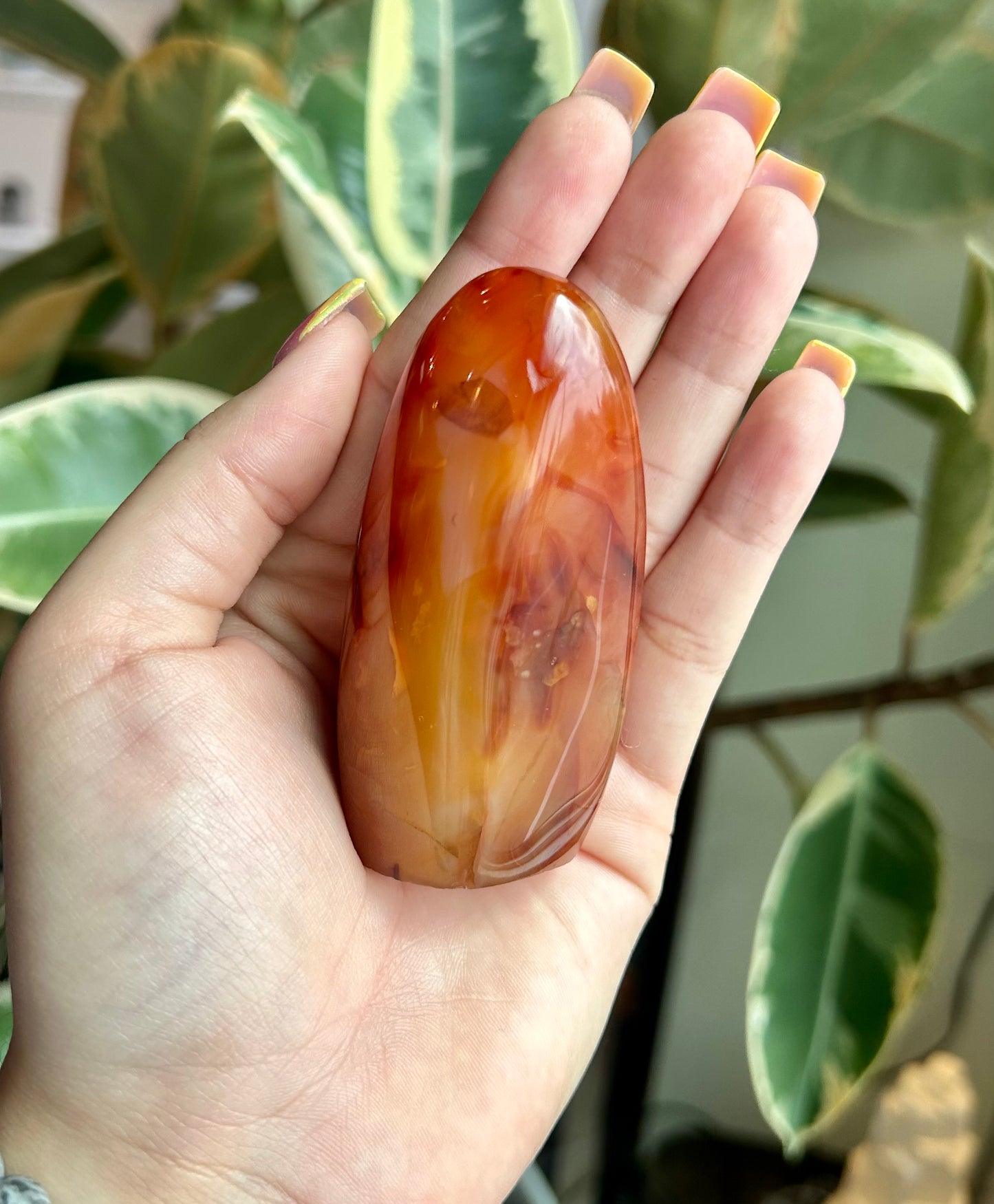 Carnelian Freeform