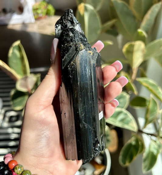 AAA+ Unpolished Black Tourmaline