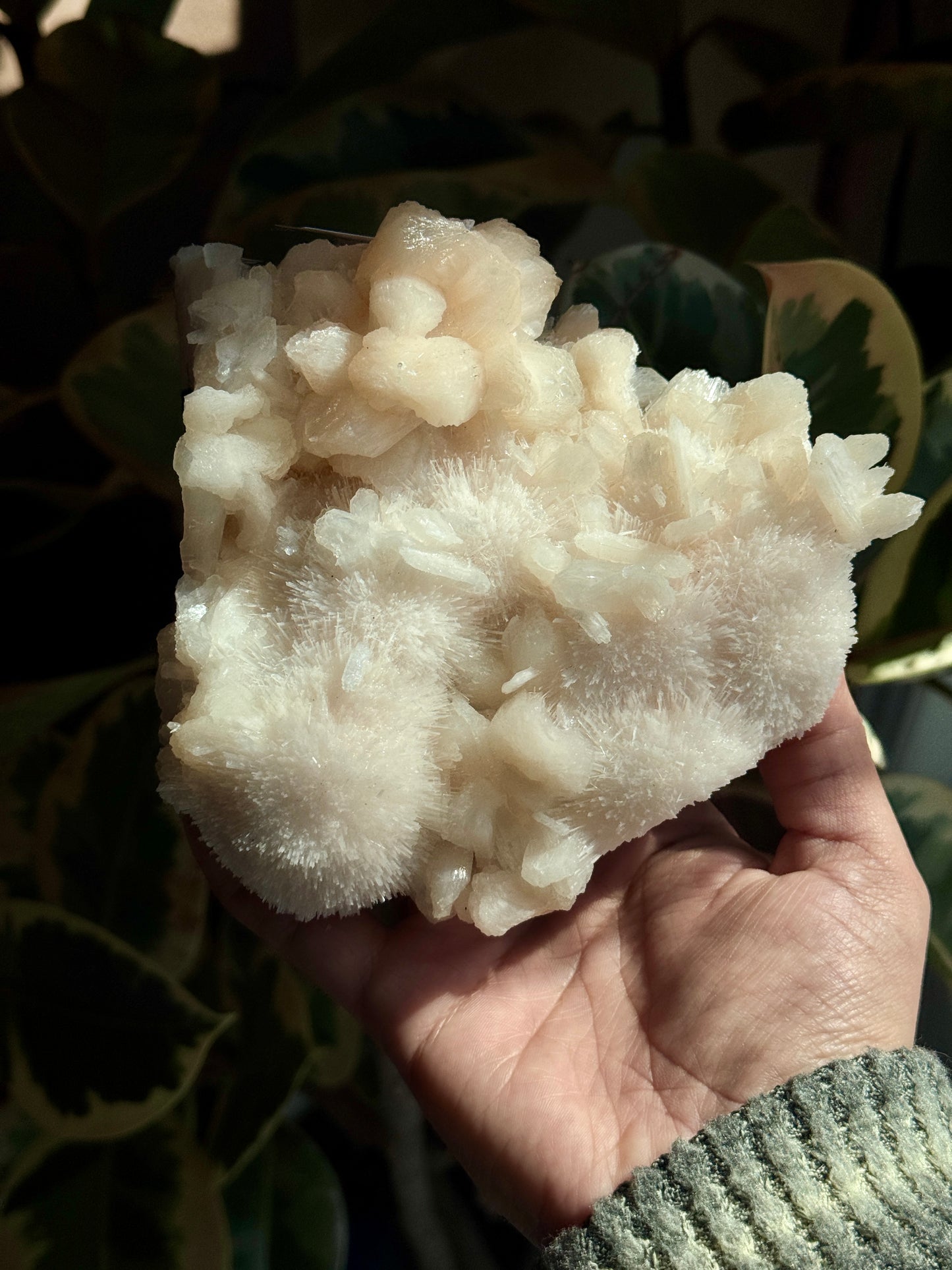 Pink Scolecite