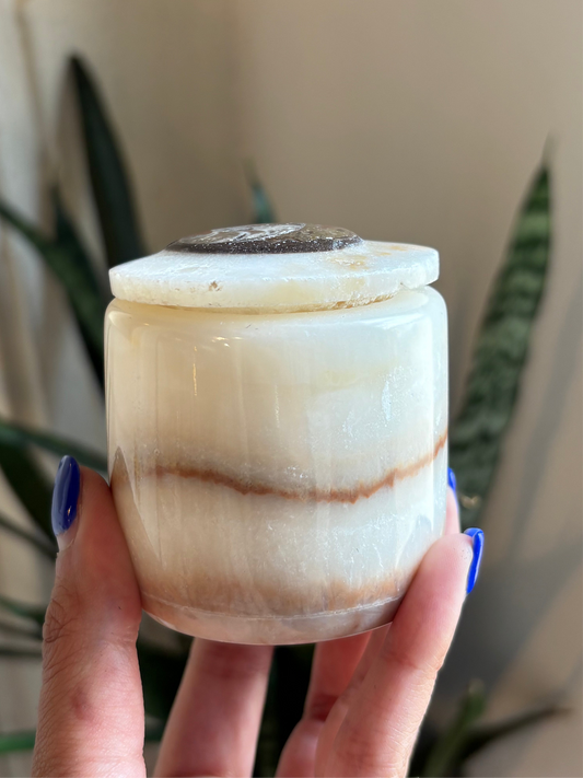 White Onyx Ammonite Jar with Lid
