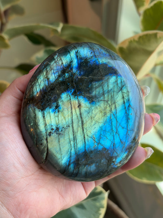 Labradorite Large Palm Stone