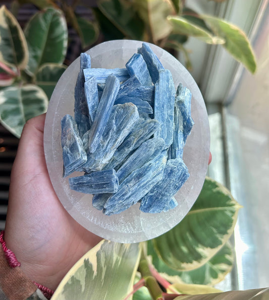 Medium Blue Kyanite Blades