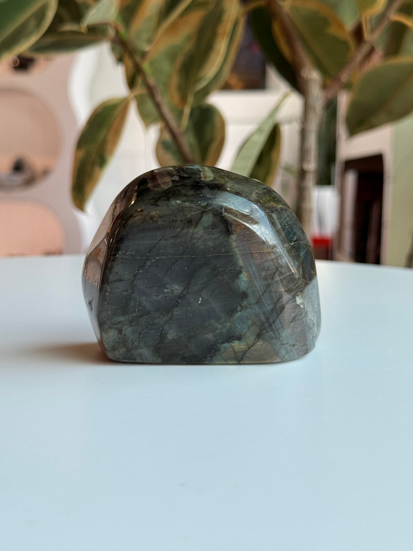 Labradorite Polished Freeform - LB3