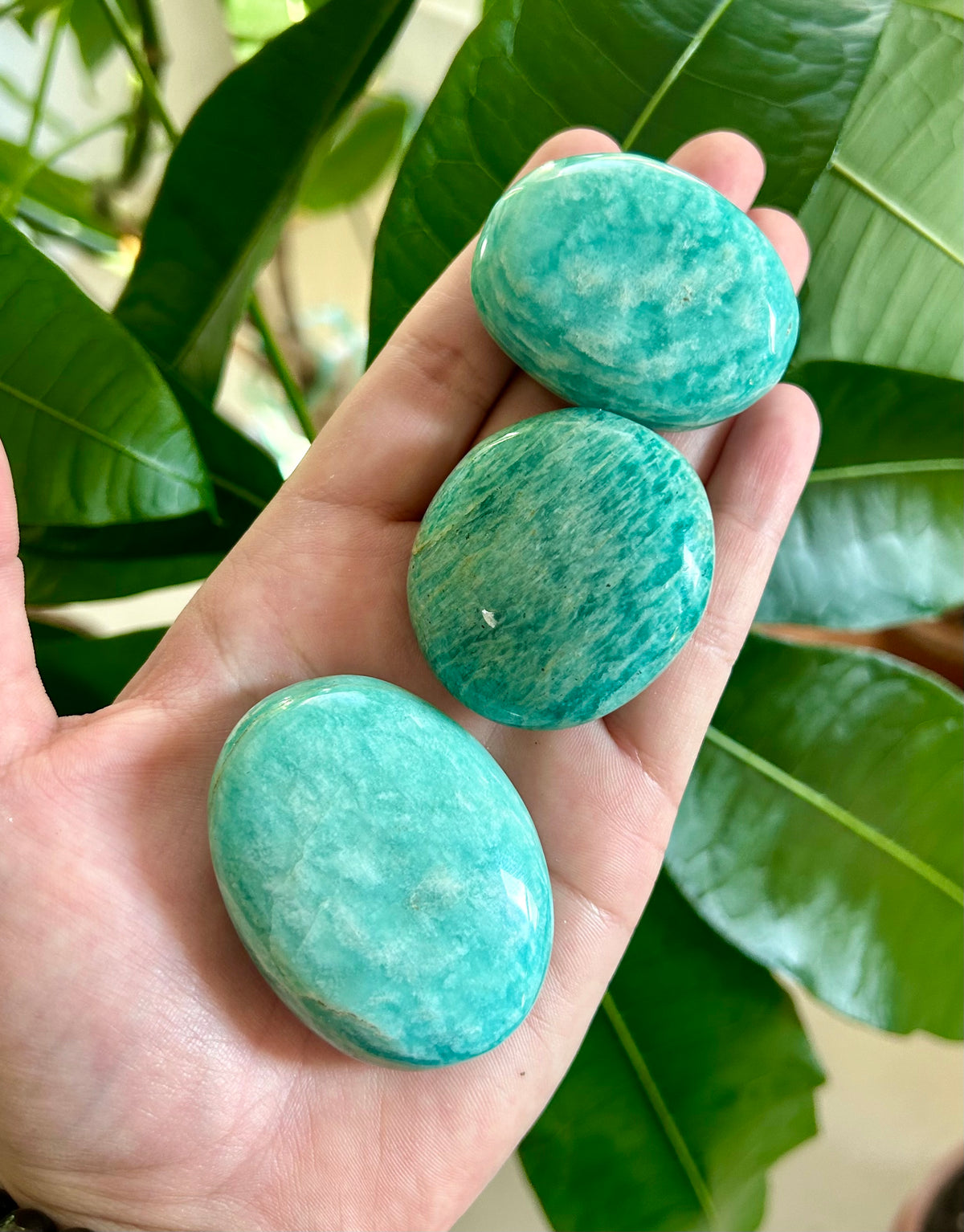 Moroccan Amazonite Palm Stone