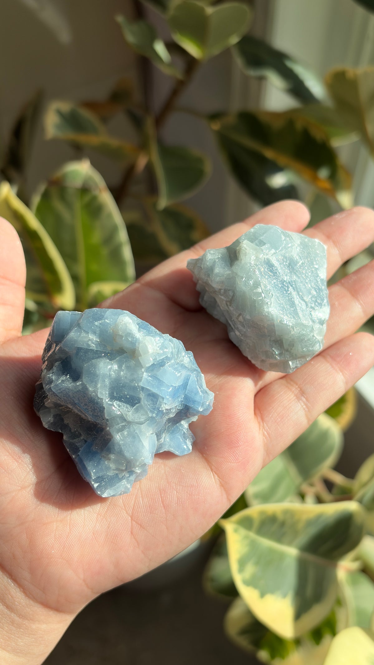 Raw Blue Calcite