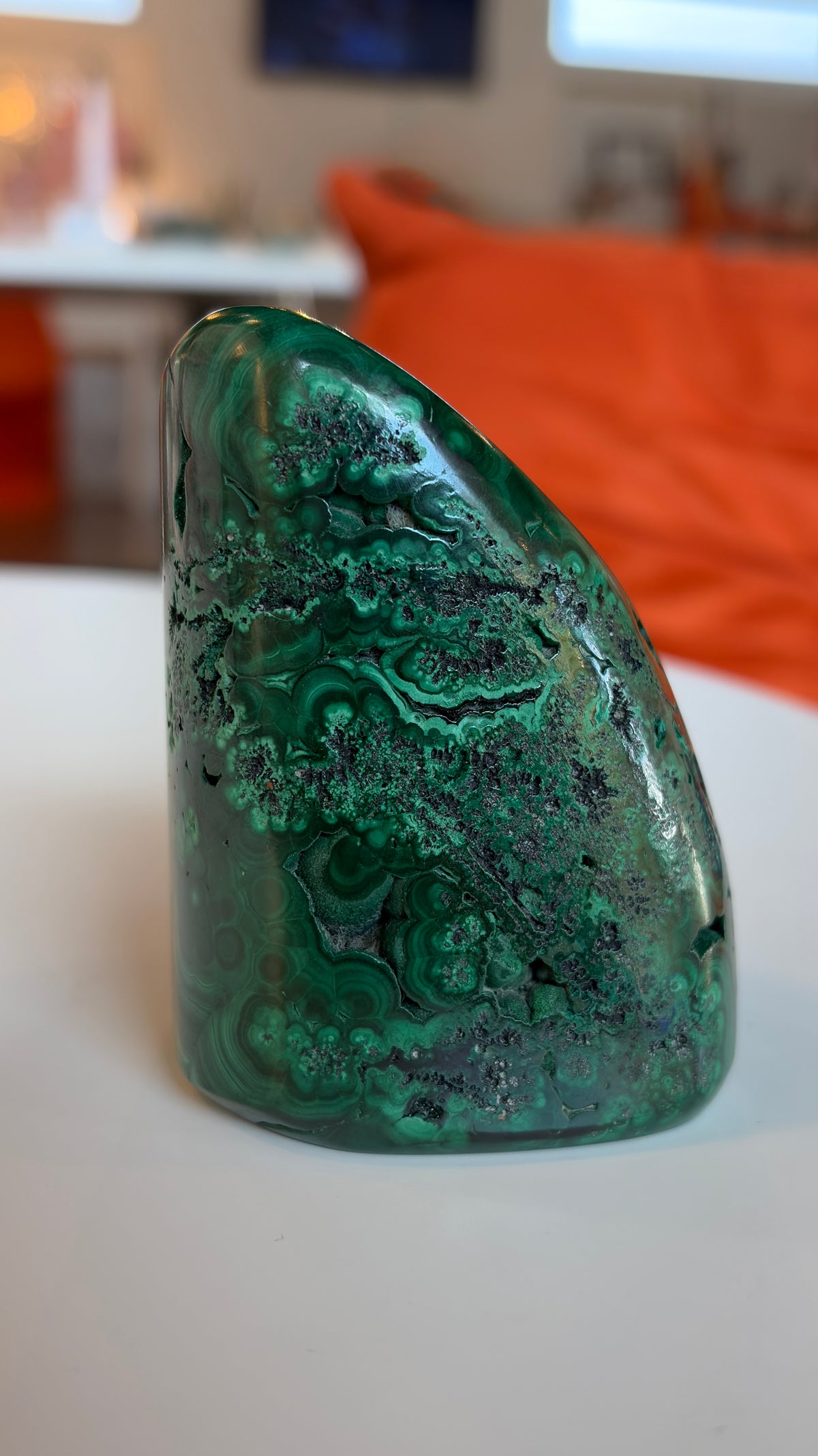 High Grade Polished Malachite Freeform