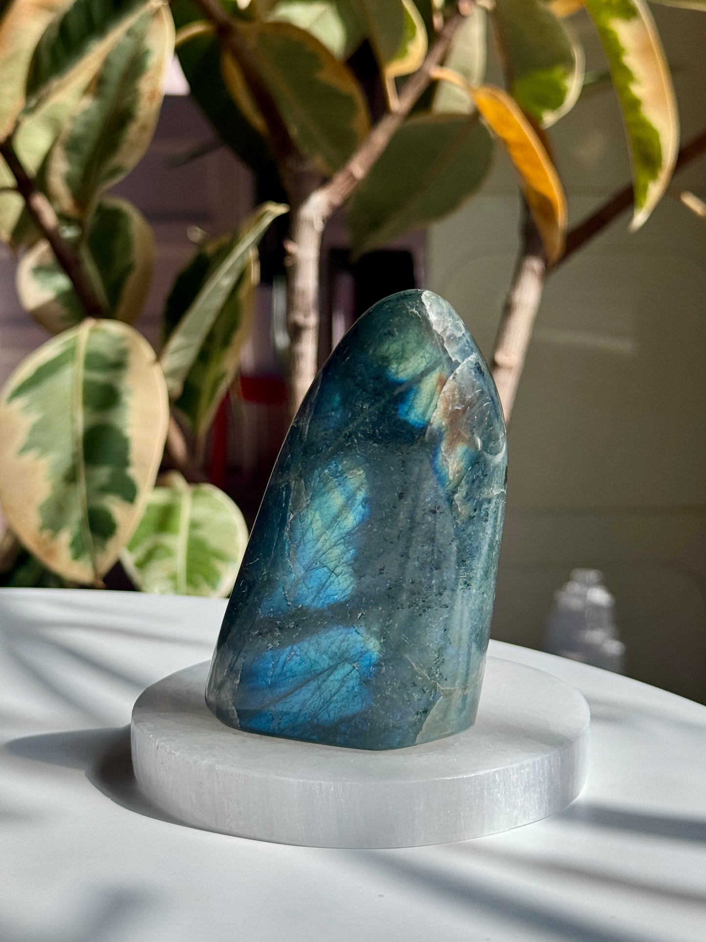 High Flash Polished Labradorite - LB8