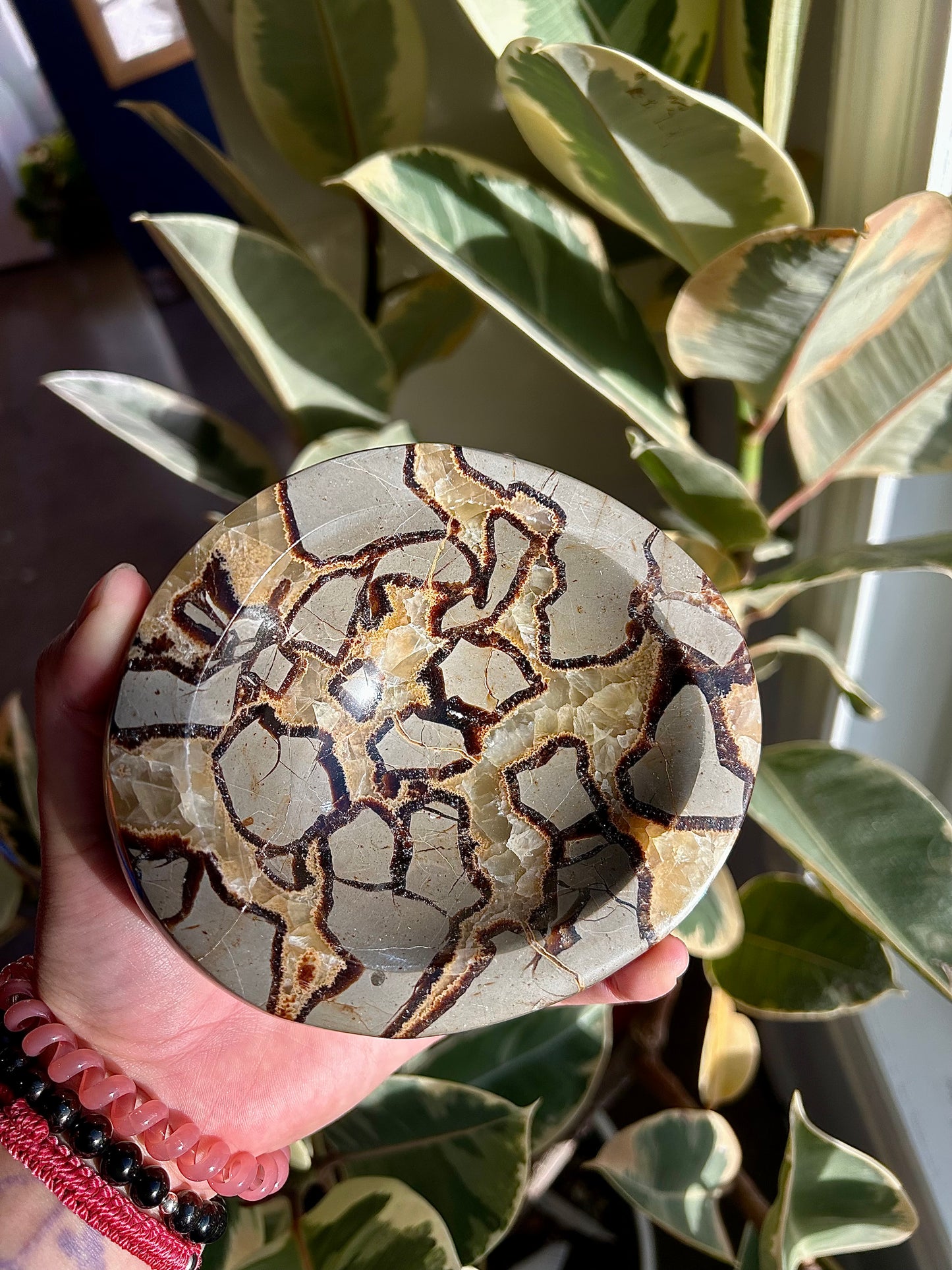 Septarian Bowl