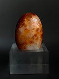 Carnelian Freeform
