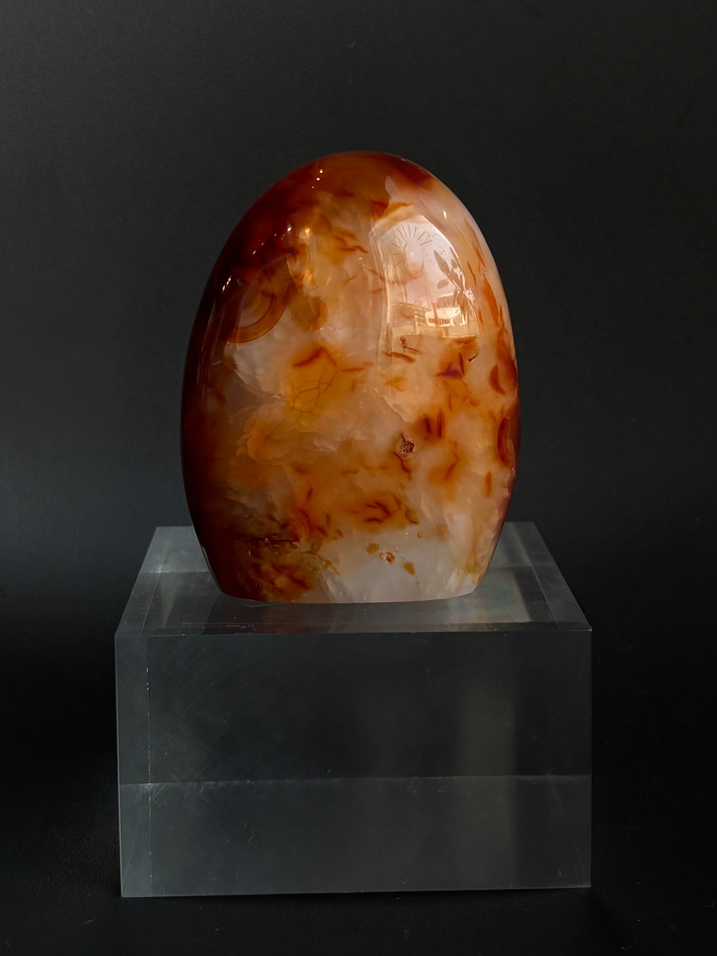 Carnelian Freeform