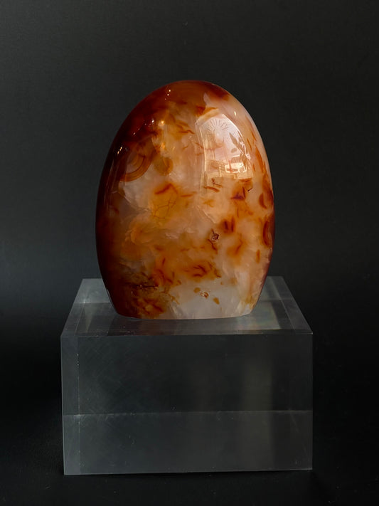 Carnelian Freeform