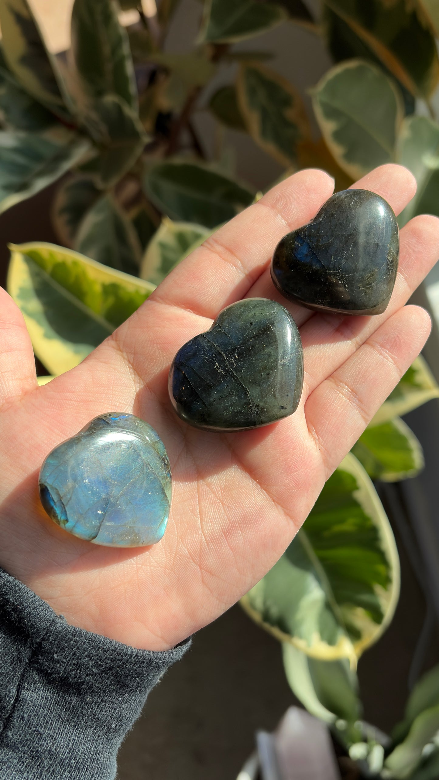 Labradorite Hearts