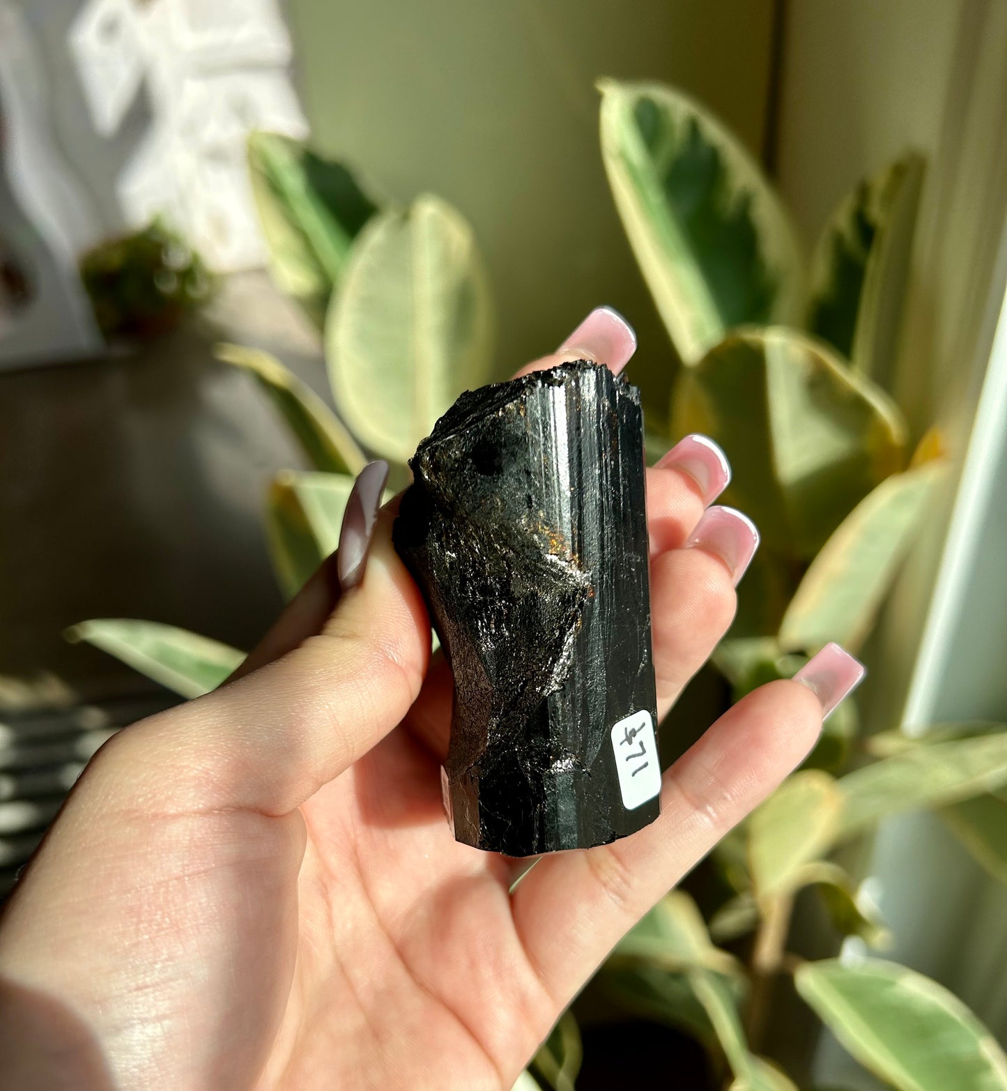 AAA+ Unpolished Black Tourmaline