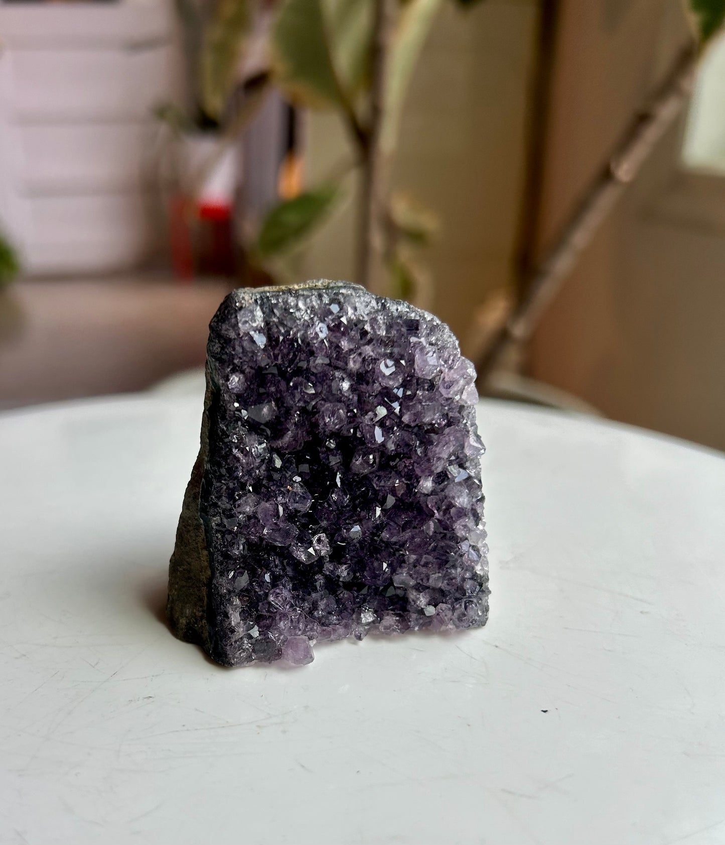 Amethyst Cut Base Geode