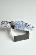 Large blue kyanite