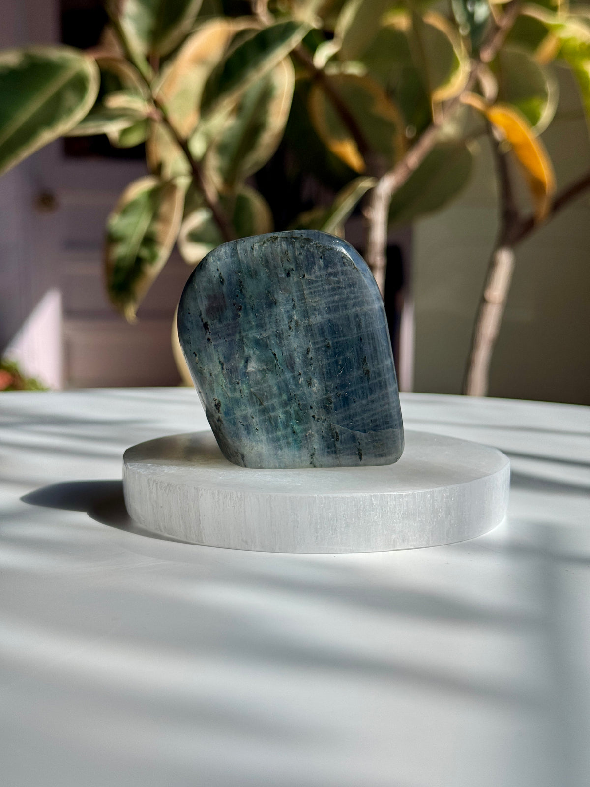 Small Polished Labradorite Freeform