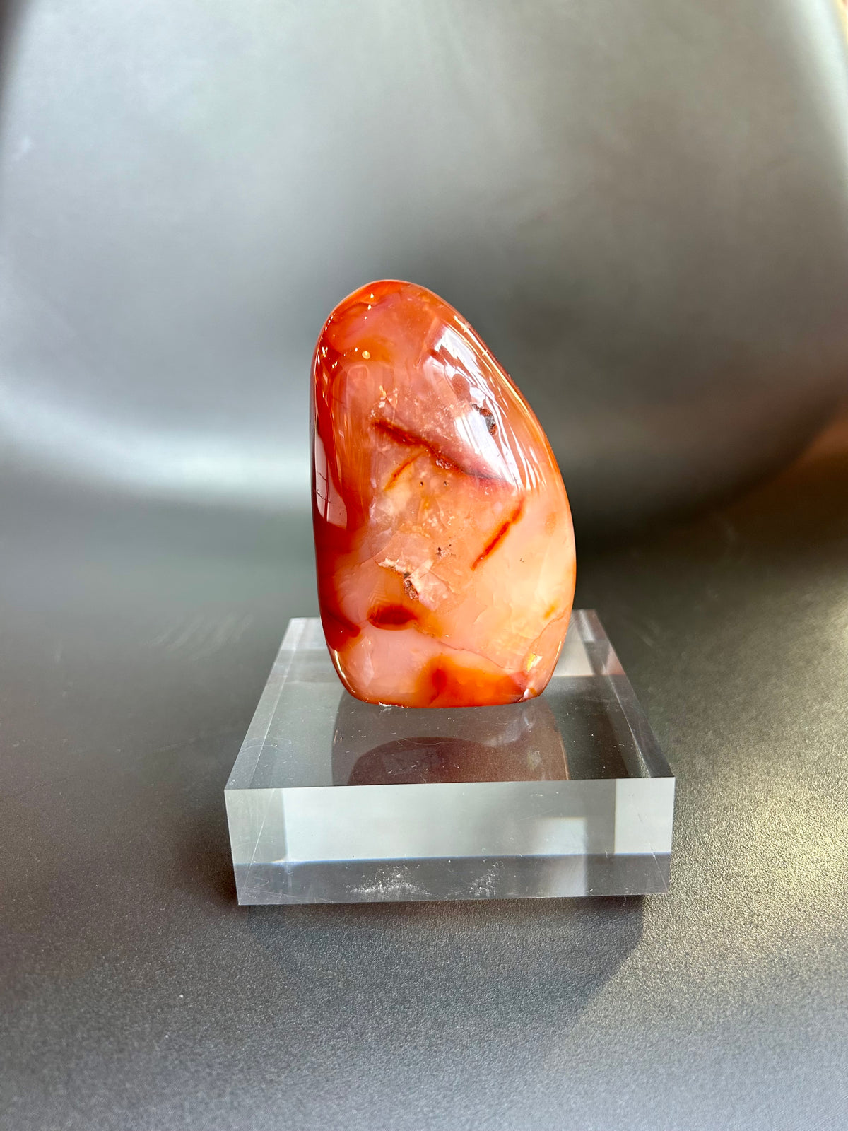 Carnelian Freeform CF18