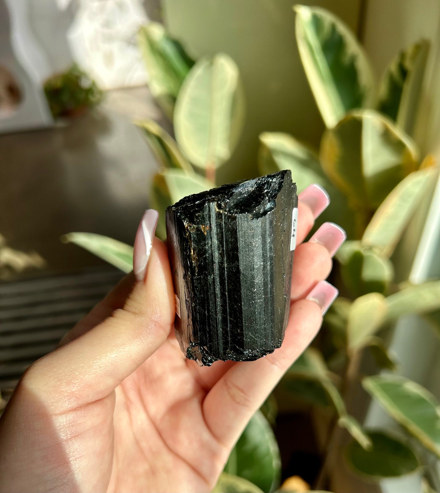 AAA+ Unpolished Black Tourmaline