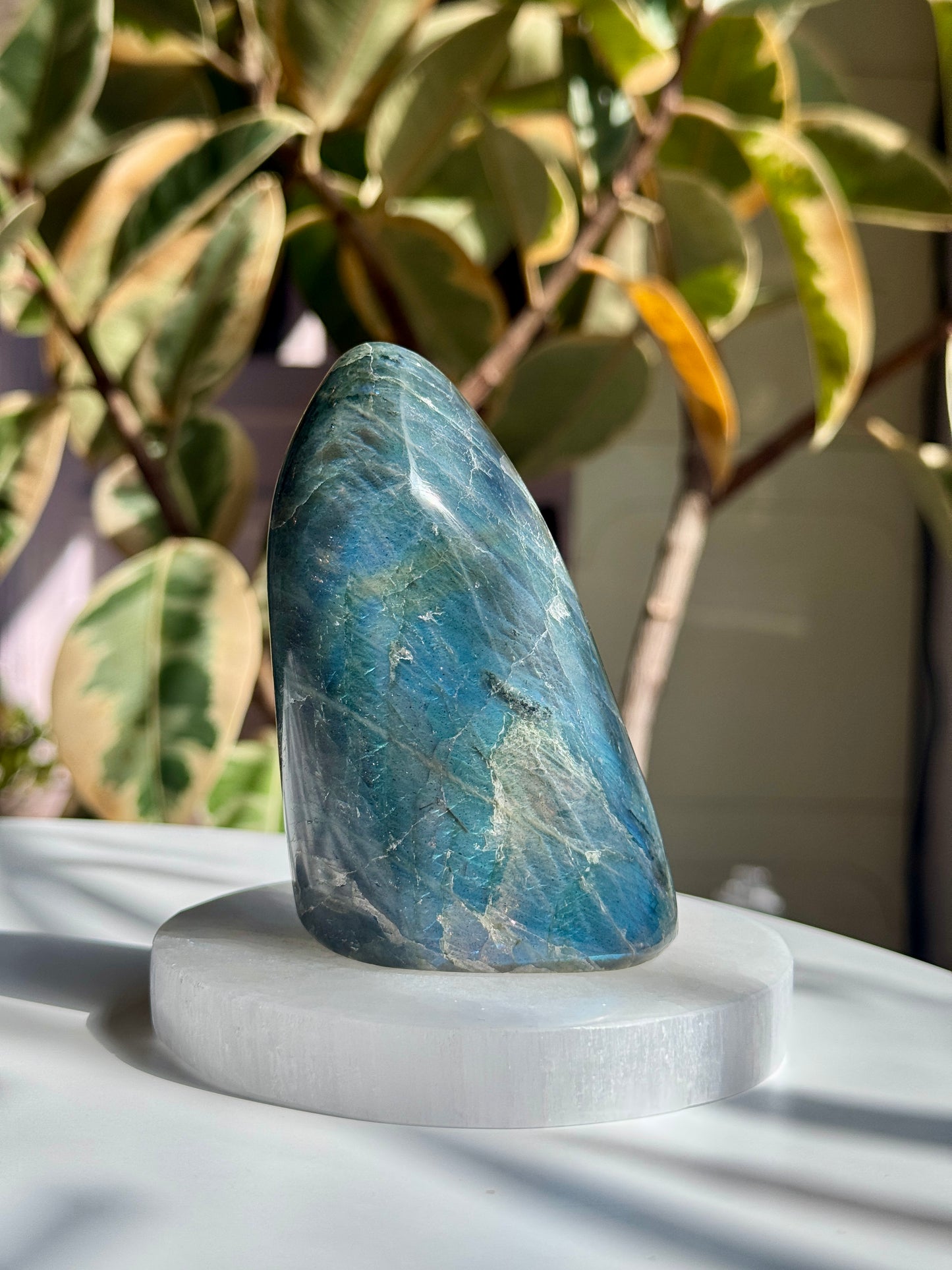 High Flash Polished Labradorite - LB8