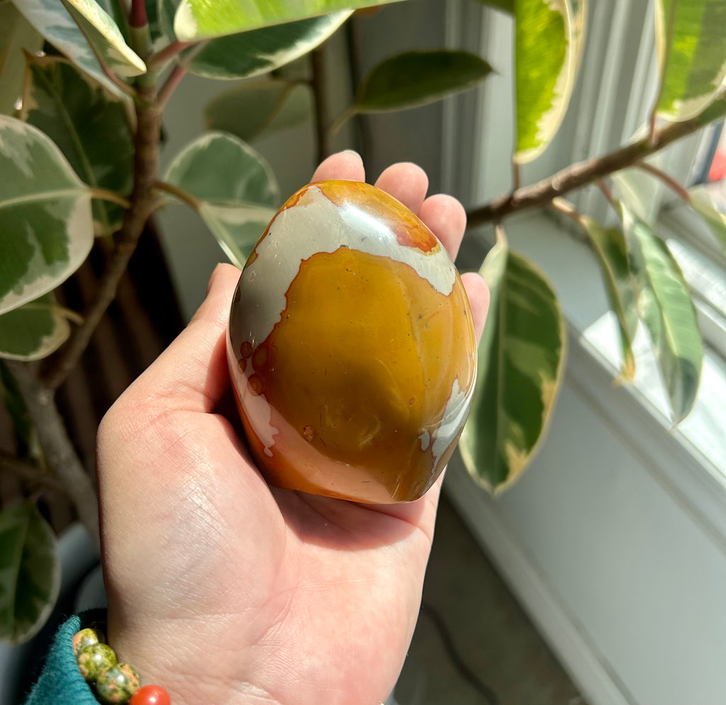Polychrome Jasper Freeform