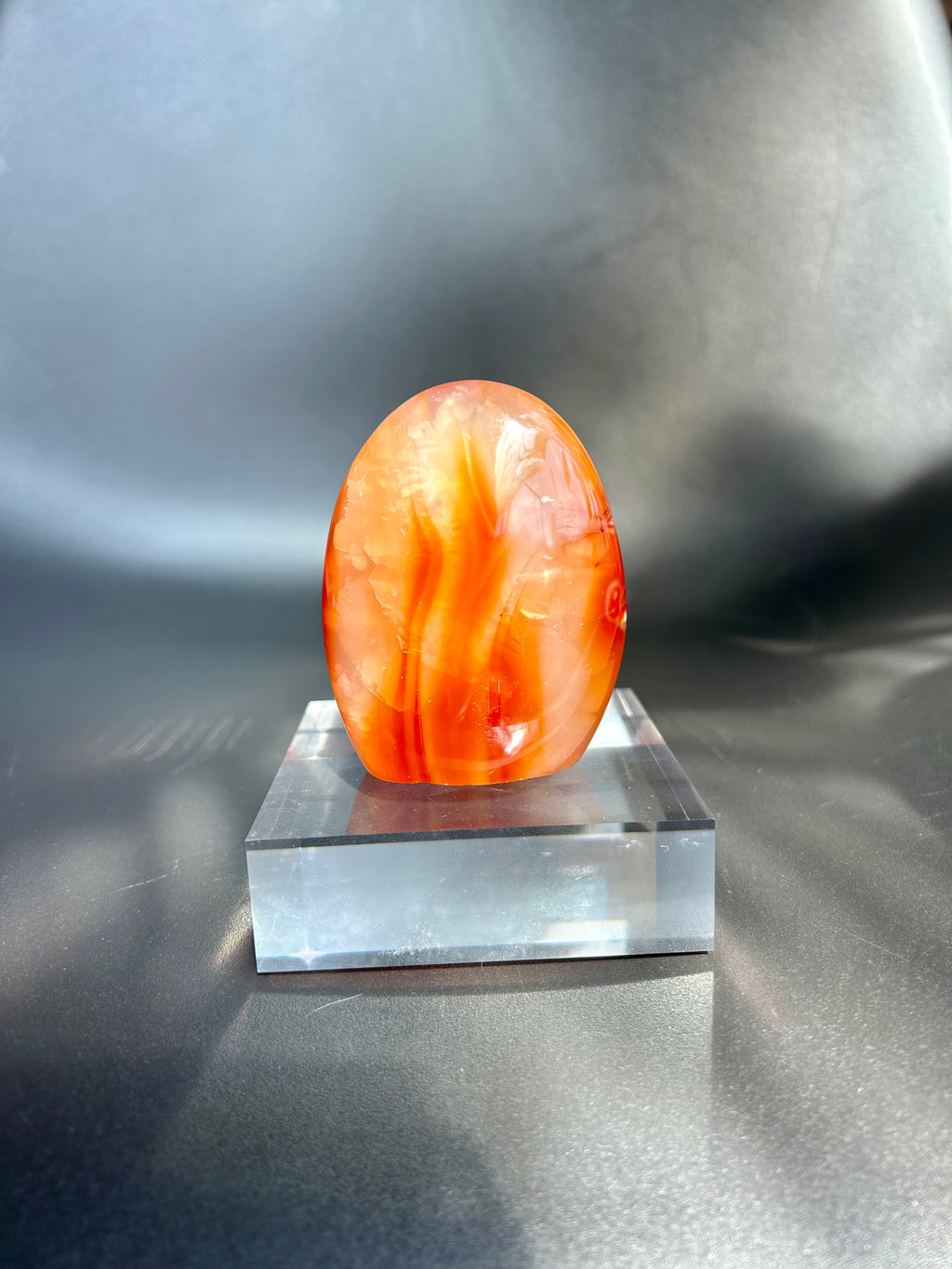 Carnelian Freeform CF10