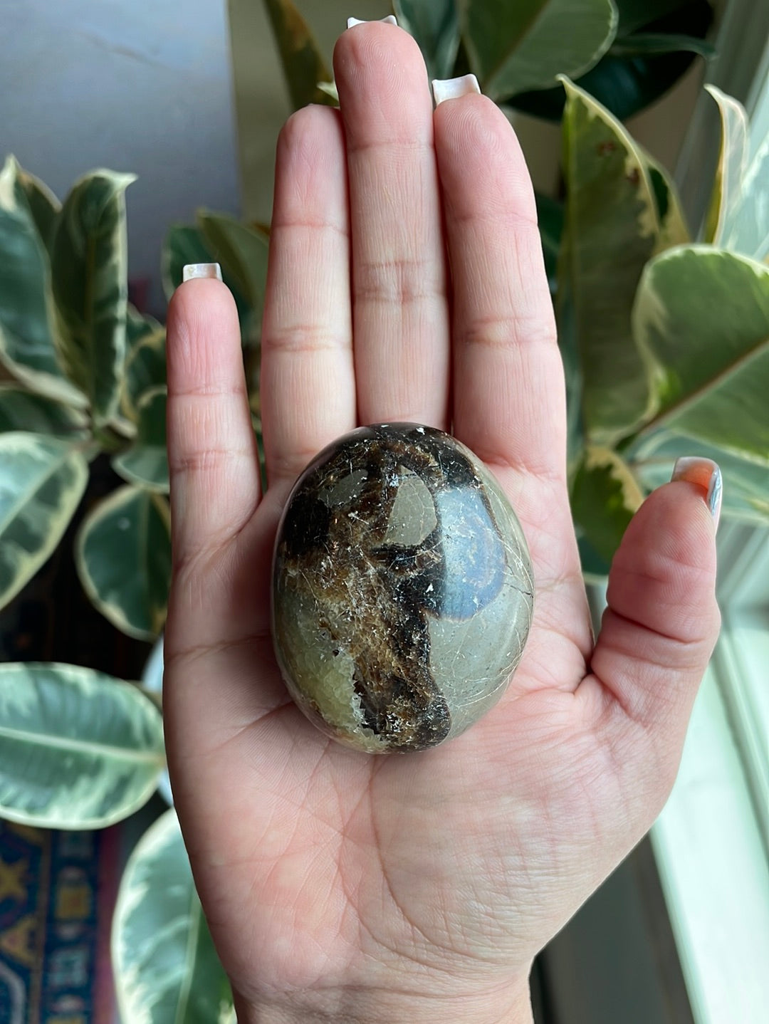 Septarian Palm Stone - EM02