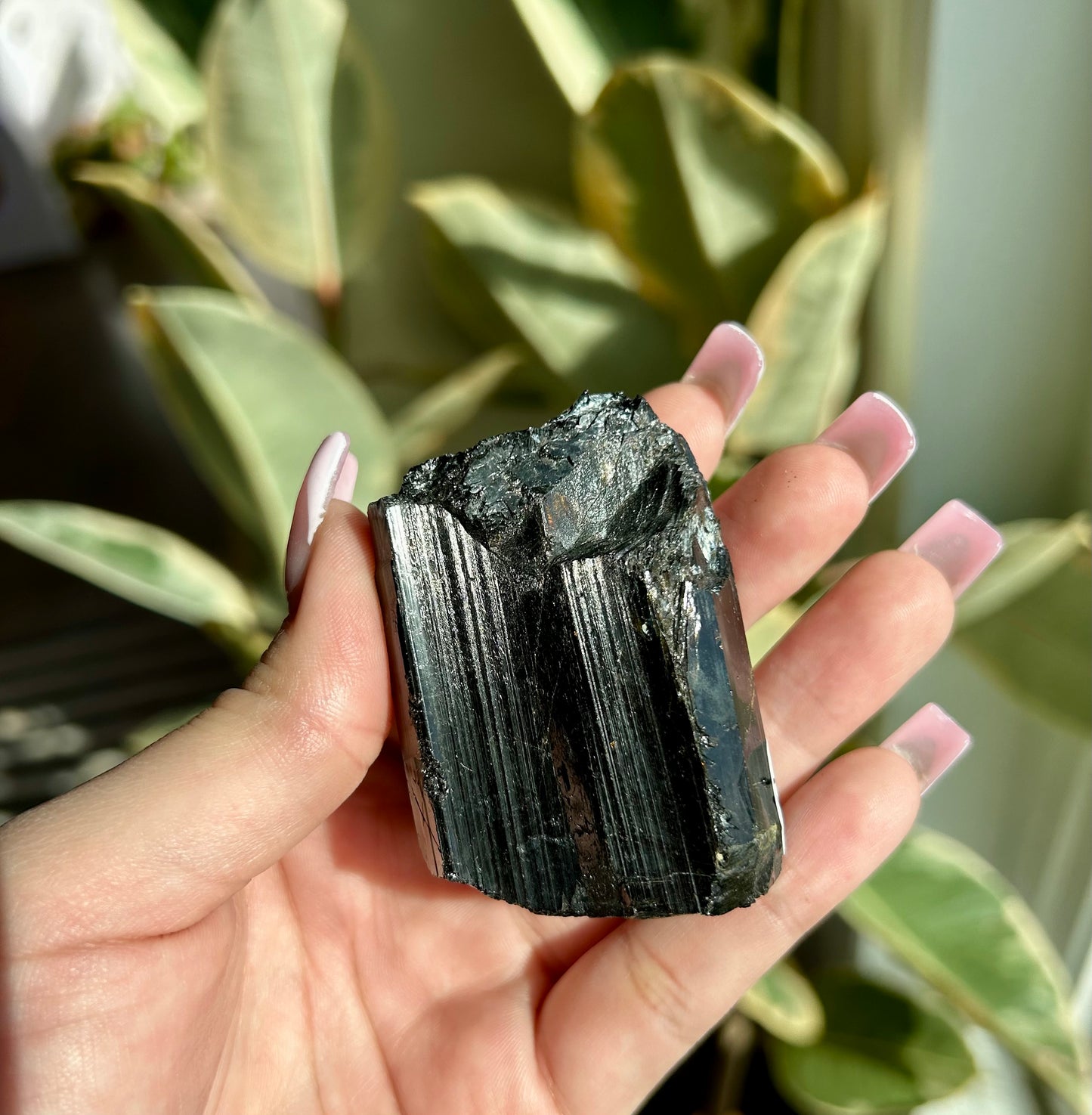 AAA+ Unpolished Black Tourmaline