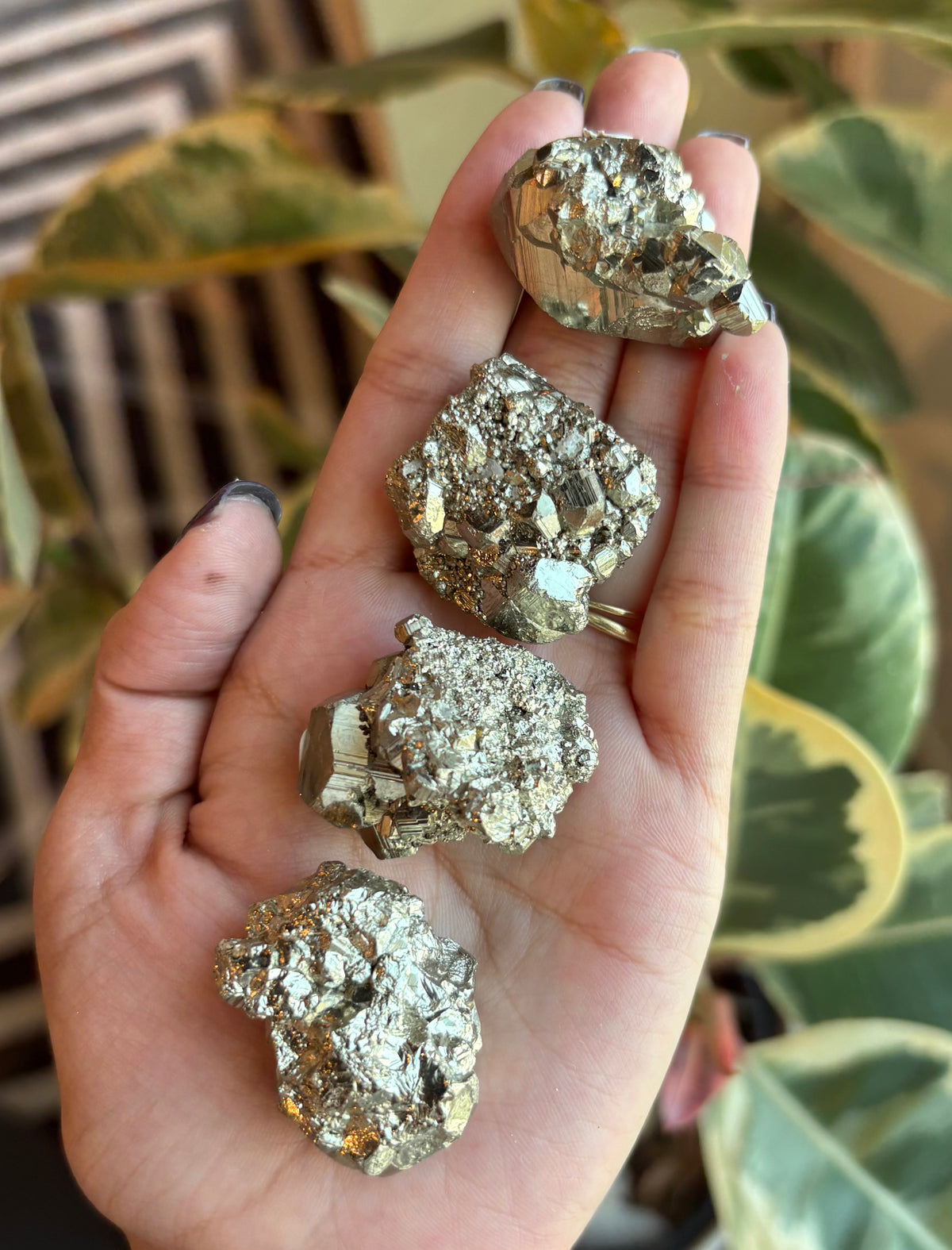 Pyrite Cluster AAA grade