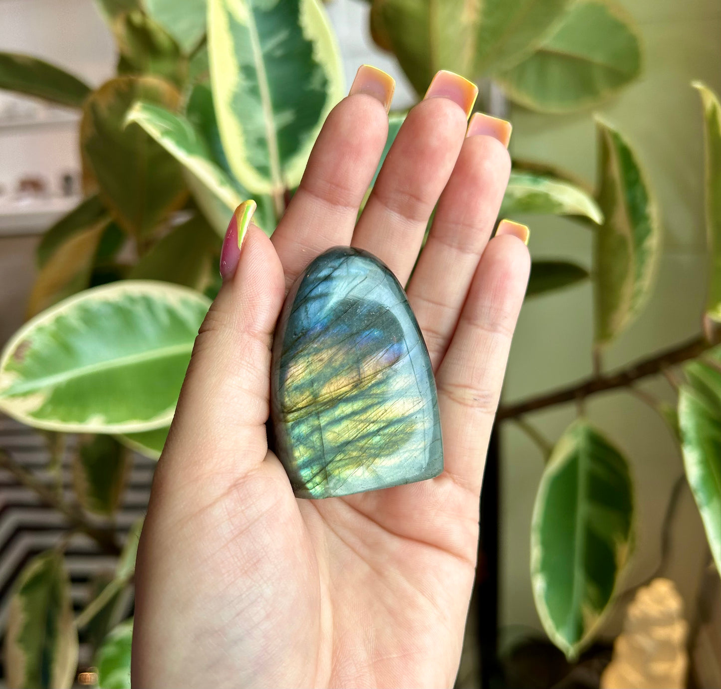 Labradorite Freeform