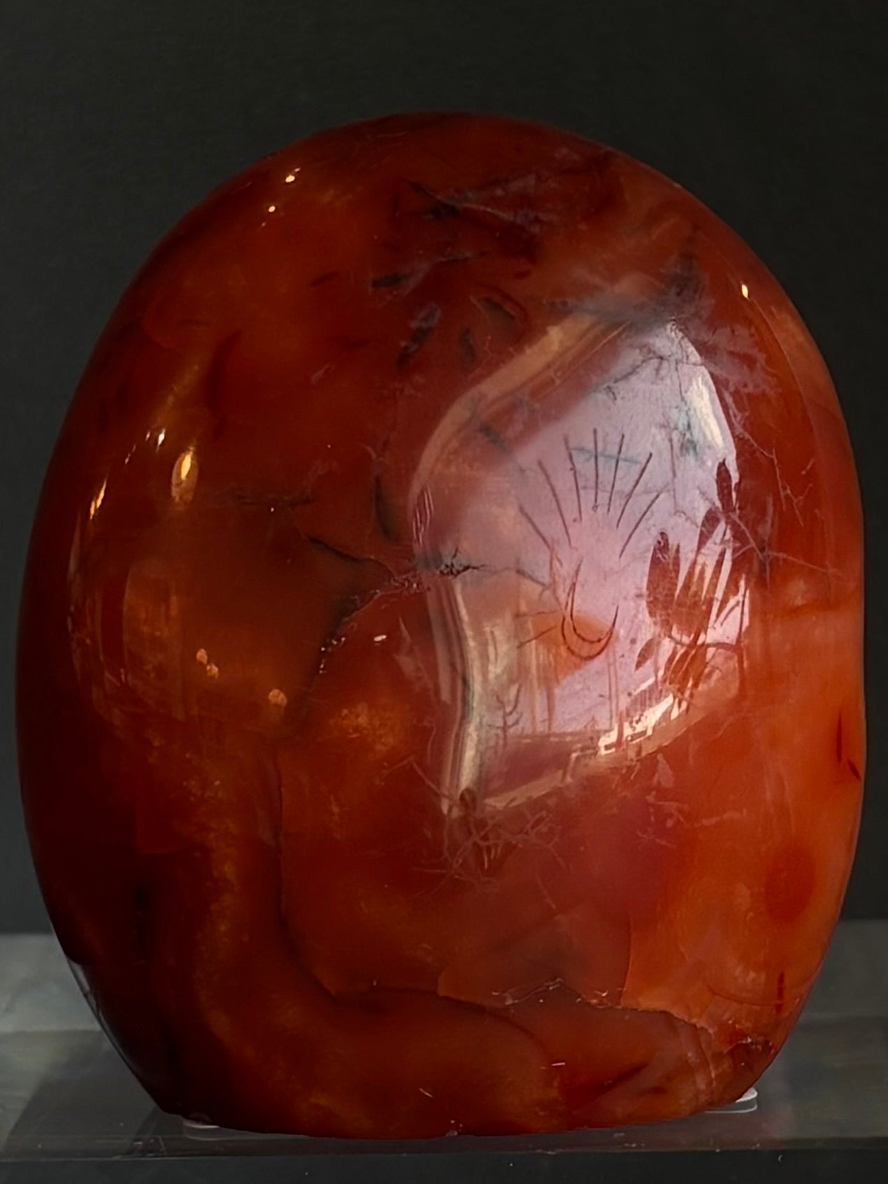 Carnelian Freeform