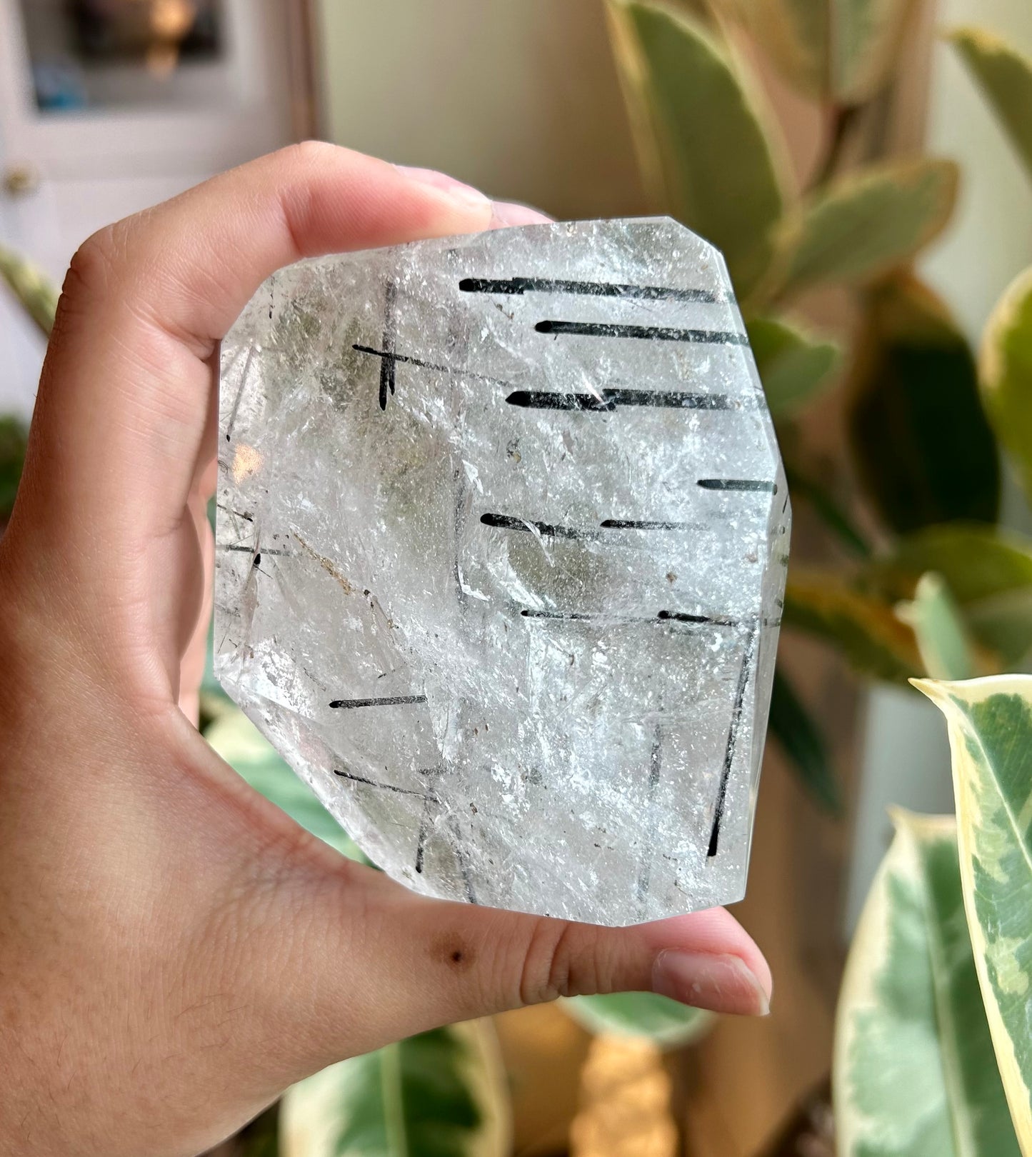 Rutilated Black Tourmaline in Clear Quartz Freeform