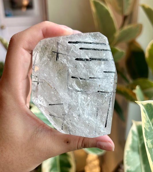 Rutilated Black Tourmaline in Clear Quartz Freeform