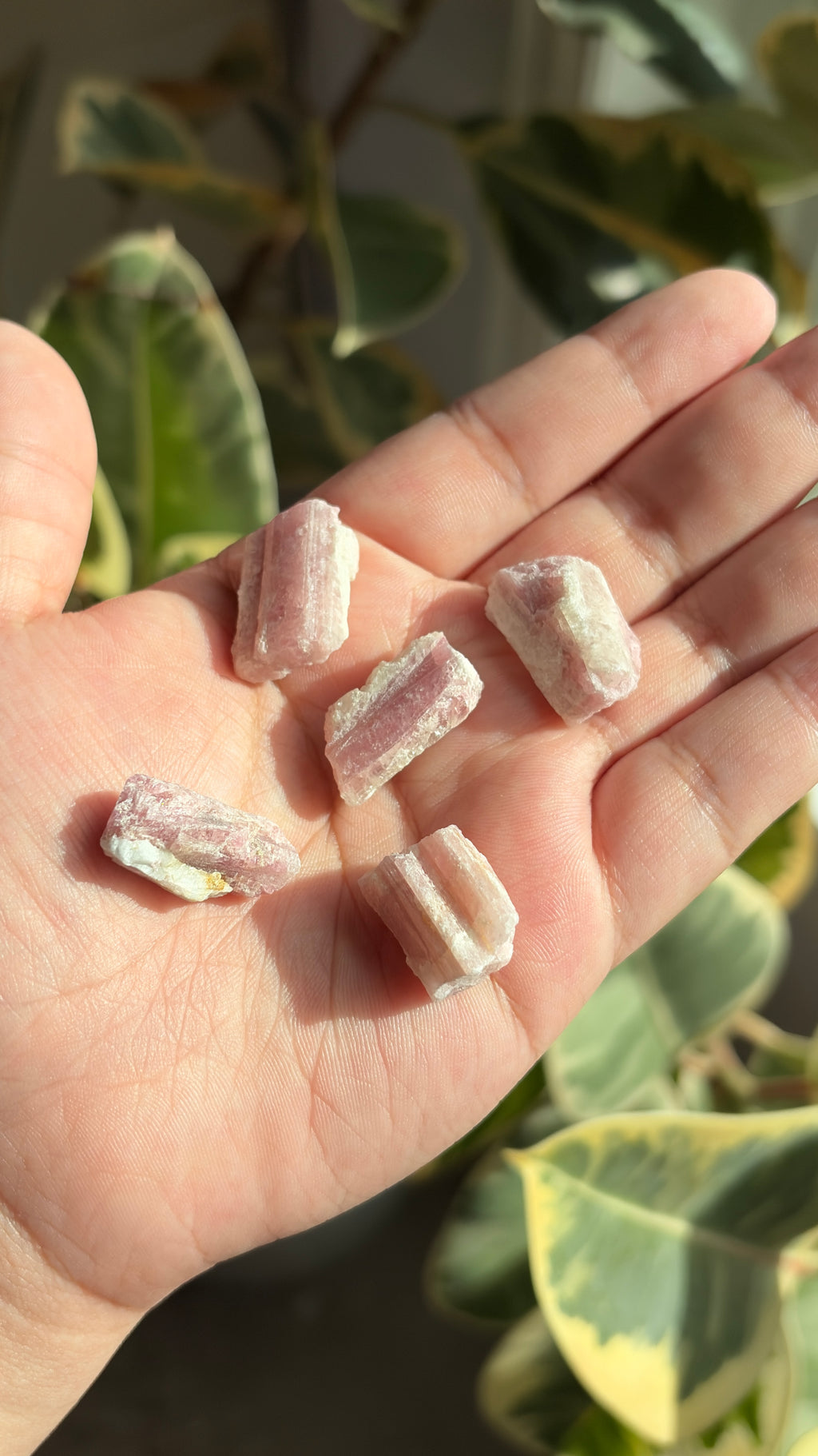 Rough Brazilian Pink Tourmaline