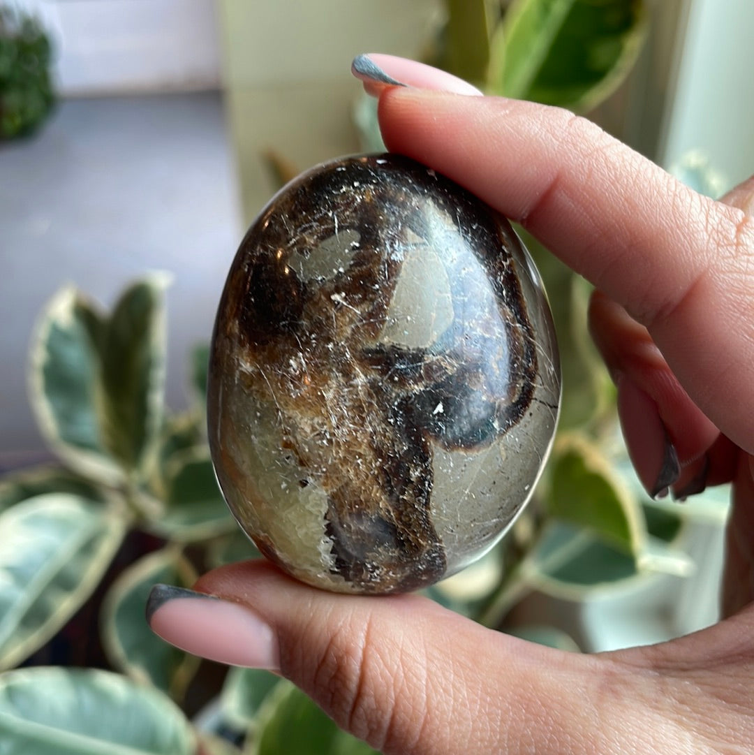 Septarian Palm Stone - EM02