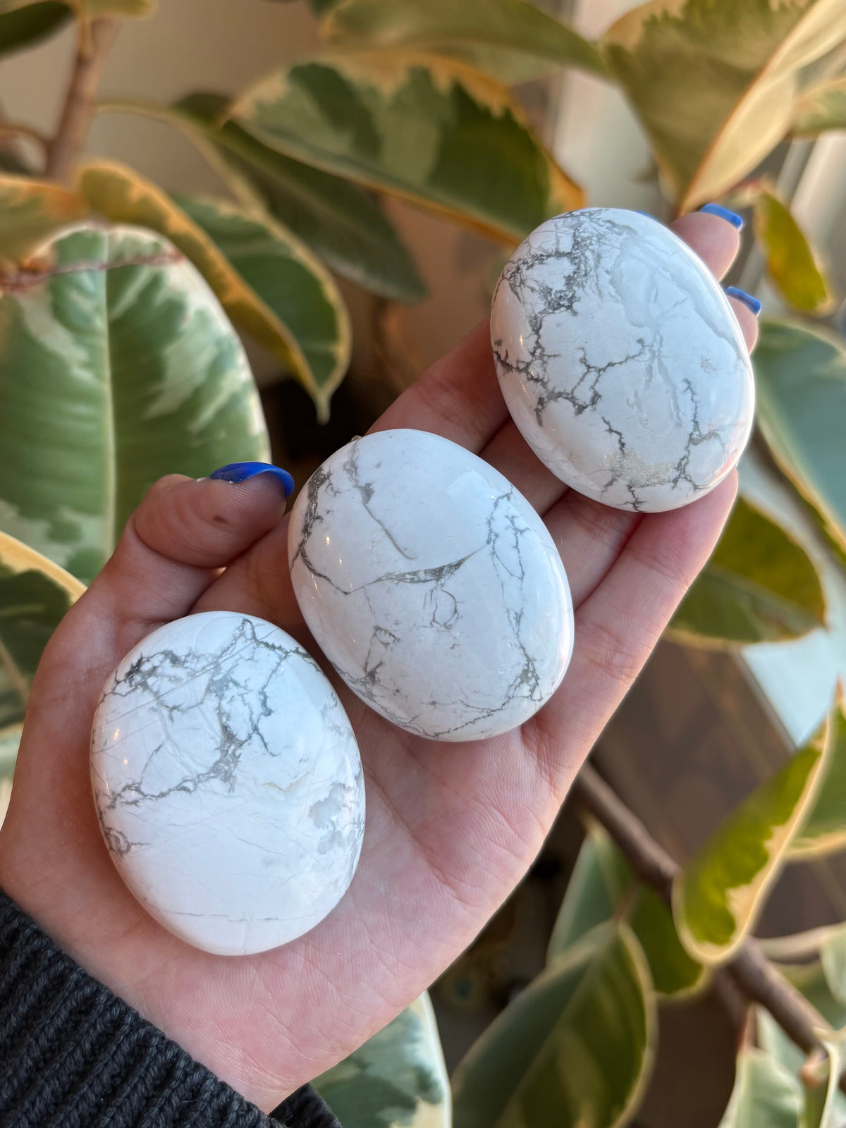 Madagascar Howlite Palmstone